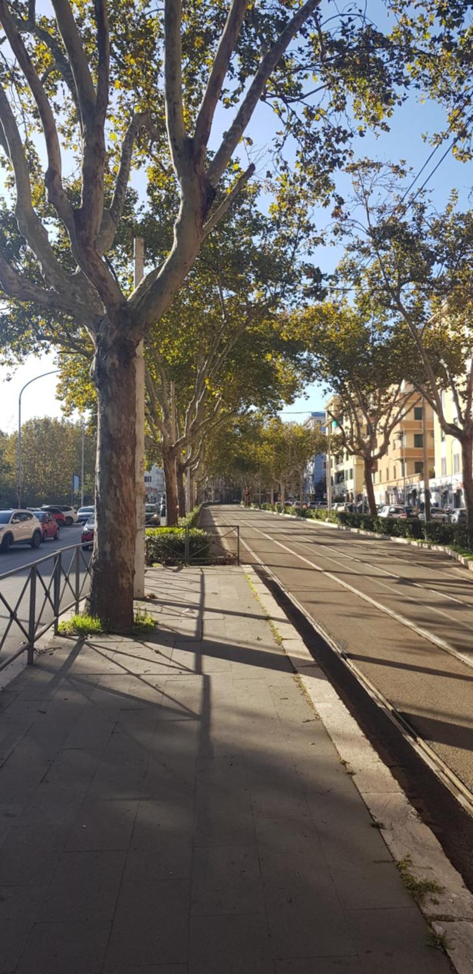 Trastevere Residenze Homestay